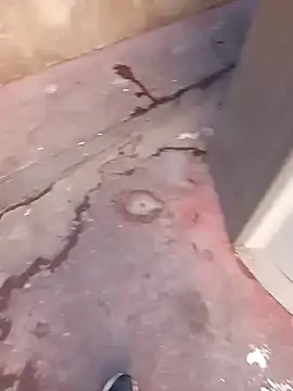 bigcook 6 online show from December 21, 12:49 pm