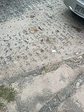 Casadadelicia26 online show from March 19, 7:25 pm