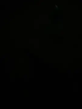 Dvddd online show from April 14, 2:33 pm