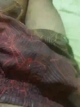 Snapshot of jarmesr7x chatting on February 11, 3:18 am jarmesr7x online show from February 11, 3:18 am