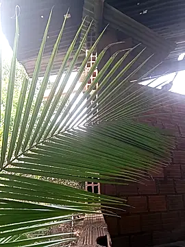 Andres123cv online show from December 18, 9:18 pm