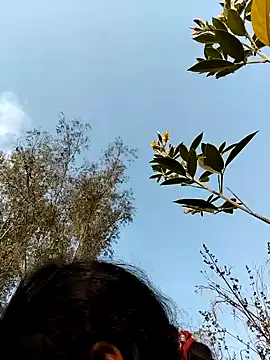 sweet suman online show from February 19, 2:33 am