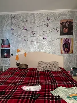 Snapshot of Sabrina_shells chatting on December 20, 1:03 pm Sabrina shells online show from December 20, 1:03 pm