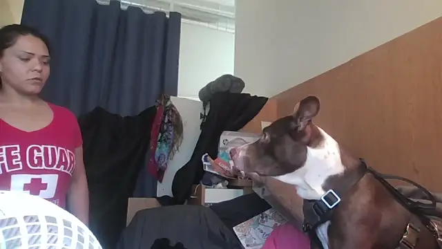 Dnasty408 online show from November 7, 8:13 pm