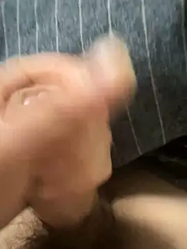 toto3119 online show from February 18, 2:49 pm