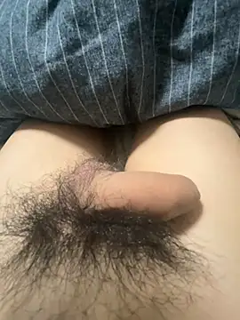 toto3119 online show from December 23, 11:57 am