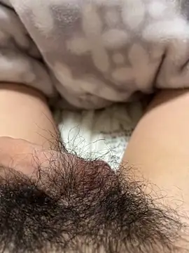 toto3119 online show from December 23, 3:11 pm