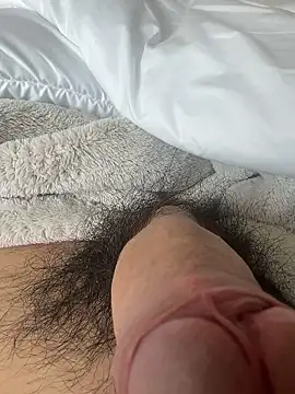 toto3119 online show from February 5, 11:11 pm