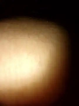 Snapshot of tesaodaweb chatting on January 9, 12:34 pm tesaodaweb online show from January 9, 12:34 pm