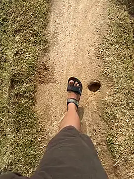 virgin Odiaboy online show from February 21, 2:39 am