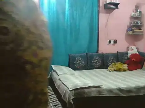 Hot-shanvi online show from September 23, 12:34 pm