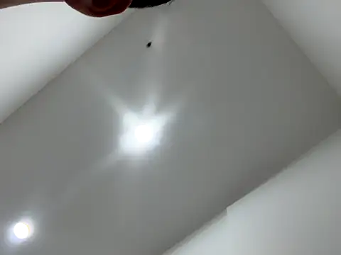 Snapshot of Sexocokin chatting on December 16, 1:15 pm Sexocokin online show from December 16, 1:15 pm