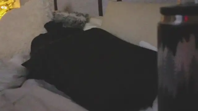 ivynyxx online show from March 16, 9:39 pm