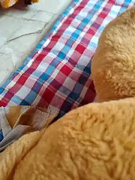 lovelygirl4567 online show from November 2, 8:41 am