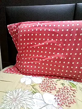 Tamil Vishalini online show from December 3, 4:35 am