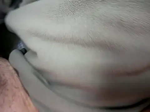 Archie8338 online show from January 14, 4:21 pm