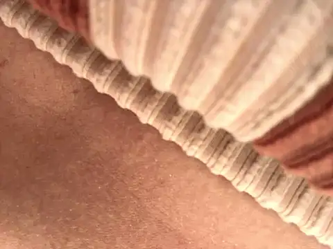 BELLA--26 online show from September 17, 1:46 pm