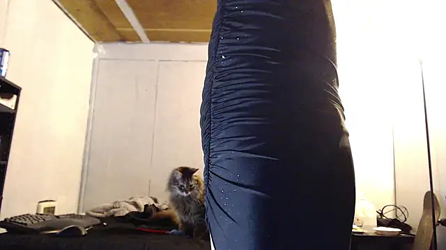 Snapshot of SadCatDaddy chatting on March 10, 10:28 am SadCatDaddy online show from March 10, 10:28 am