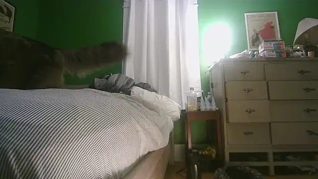 Snapshot of SadCatDaddy chatting on February 15, 11:31 am SadCatDaddy online show from February 15, 11:31 am