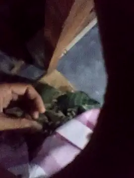 xLoveer online show from December 5, 6:06 pm