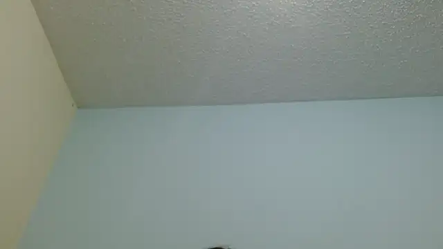 boobsTaylor online show from February 12, 7:19 am