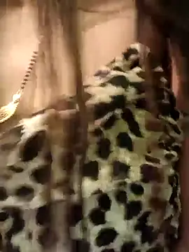 Stripper Maahi online show from February 21, 9:13 am