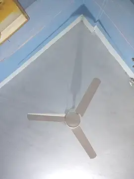 124pakhi online show from March 14, 1:11 am