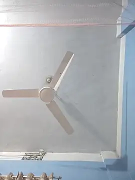 124pakhi online show from March 22, 2:40 pm