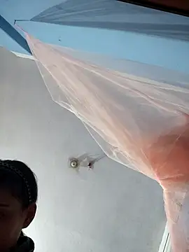 124pakhi online show from November 30, 5:19 am