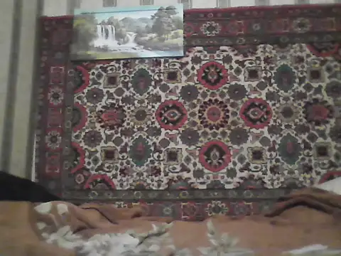 AlferezzSolvajo online show from November 20, 8:31 pm