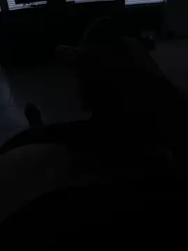 coreyl9718 online show from February 13, 4:39 pm