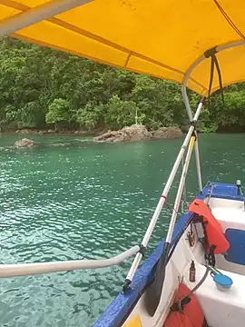 GoloZeusMax online show from March 19, 8:00 pm