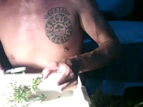 GoloZeusMax online show from March 14, 12:32 am