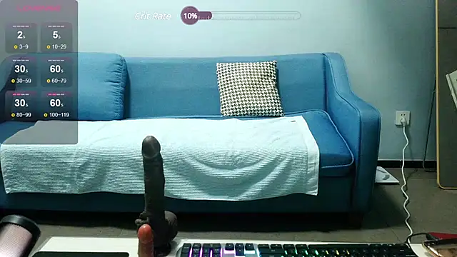 csck2025 online show from January 15, 12:25 pm