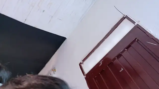 amabel zambrano online show from November 5, 1:47 pm