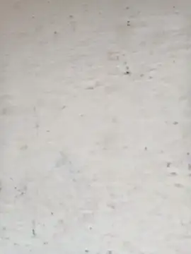 Pooja cut online show from October 15, 4:11 am