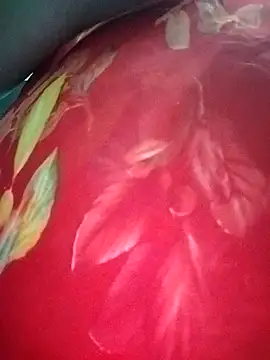 Snapshot of priyancyfun chatting on March 3, 6:26 pm priyancyfun online show from March 3, 6:26 pm