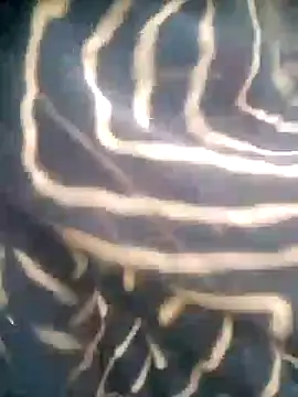 Snapshot of Amaya_Bajwa chatting on October 29, 1:15 am Amaya Bajwa online show from October 29, 1:15 am