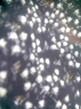 Snapshot of Amaya_Bajwa chatting on November 12, 8:29 am Amaya Bajwa online show from November 12, 8:29 am