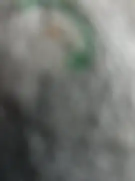 Snapshot of qazsazx chatting on October 21, 3:55 pm qazsazx online show from October 21, 3:55 pm