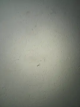 triplebeast online show from December 2, 8:16 am