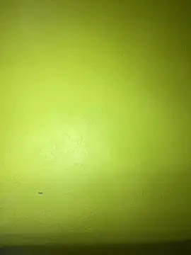 triplebeast online show from January 23, 10:54 pm