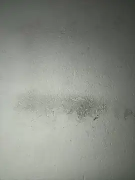 triplebeast online show from December 21, 4:58 am