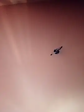 BR master online show from September 19, 10:19 am