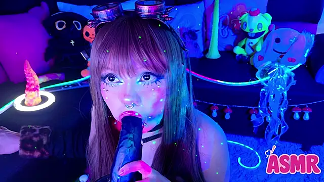 LaytonBox online show from November 2, 1:16 pm