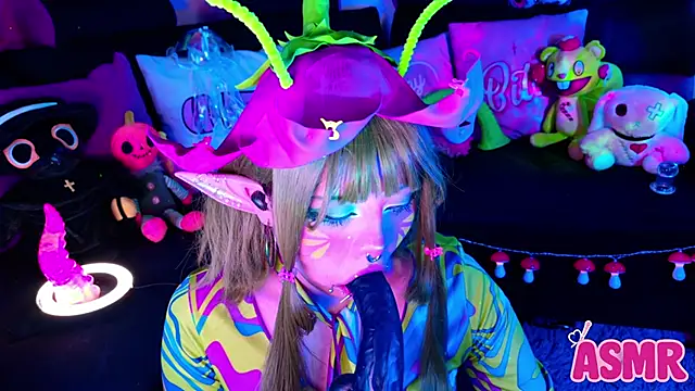 LaytonBox online show from October 26, 1:44 pm