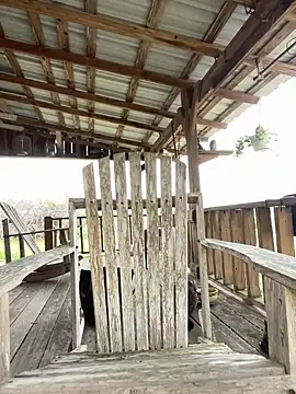 32XRedBeard online show from March 3, 10:17 pm