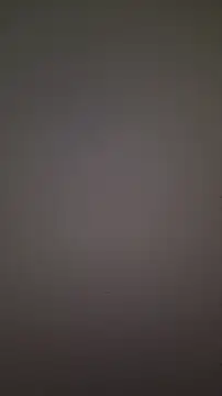 nonalona199999 online show from November 28, 3:45 pm