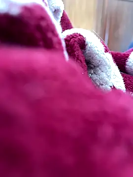 BCFZD online show from November 25, 1:22 pm