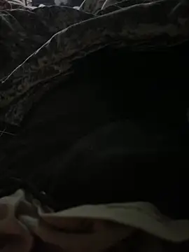 BCFZD online show from September 27, 3:23 am